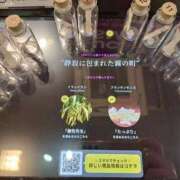 ヒメ日記 2025/10/20 15:03 投稿 神田あやか ミスターダンディー