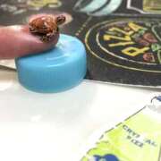 ヒメ日記 2025/11/04 21:13 投稿 神田あやか ミスターダンディー