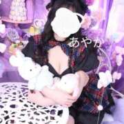 ヒメ日記 2025/11/11 06:03 投稿 神田あやか ミスターダンディー