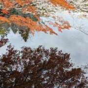 ヒメ日記 2025/12/08 18:53 投稿 神田あやか ミスターダンディー