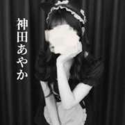 ヒメ日記 2025/12/31 20:13 投稿 神田あやか ミスターダンディー