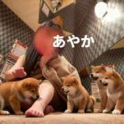 ヒメ日記 2026/01/29 22:33 投稿 神田あやか ミスターダンディー