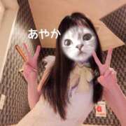 ヒメ日記 2026/03/09 20:13 投稿 神田あやか ミスターダンディー
