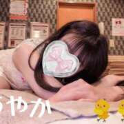 ヒメ日記 2026/04/02 10:26 投稿 神田あやか ミスターダンディー