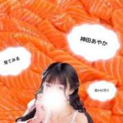 ヒメ日記 2026/04/22 17:03 投稿 神田あやか ミスターダンディー