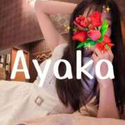 ヒメ日記 2026/04/22 22:24 投稿 神田あやか ミスターダンディー