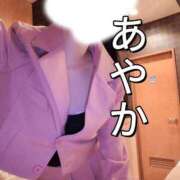 ヒメ日記 2026/05/17 00:01 投稿 神田あやか ミスターダンディー