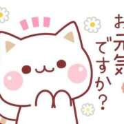 ヒメ日記 2026/08/18 09:03 投稿 神田あやか ミスターダンディー