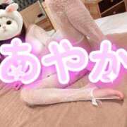 ヒメ日記 2026/09/24 08:13 投稿 神田あやか ミスターダンディー