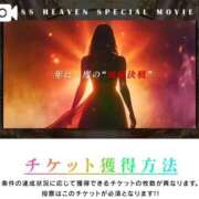ヒメ日記 2026/10/08 06:16 投稿 神田あやか ミスターダンディー