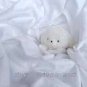 ヒメ日記 2025/11/17 05:31 投稿 ゆらの びくびくサークル五反田店