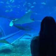 ヒメ日記 2025/11/26 07:01 投稿 ゆらの びくびくサークル五反田店