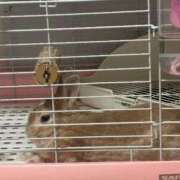 ヒメ日記 2025/12/02 02:01 投稿 ゆらの びくびくサークル五反田店