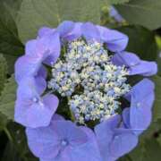 ヒメ日記 2025/06/20 23:20 投稿 ま　や XSTASY（エクスタシー）