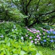 ヒメ日記 2025/06/26 17:34 投稿 ま　や XSTASY（エクスタシー）