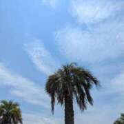 ヒメ日記 2025/07/06 19:36 投稿 ま　や XSTASY（エクスタシー）