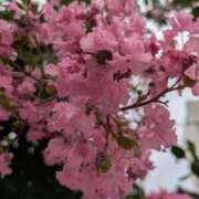 ヒメ日記 2025/07/12 20:49 投稿 ま　や XSTASY（エクスタシー）