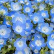 ヒメ日記 2026/04/22 14:51 投稿 ま　や XSTASY（エクスタシー）