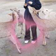 ヒメ日記 2025/06/01 22:35 投稿 えな 千葉人妻セレブリティ（ユメオト）