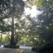 ヒメ日記 2025/07/08 07:27 投稿 えな 千葉人妻セレブリティ（ユメオト）