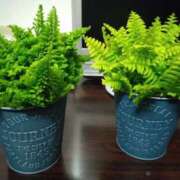 ヒメ日記 2025/06/01 12:08 投稿 葉月 いと こあくまな熟女たち三河店（KOAKUMAグループ）