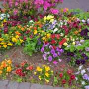 ヒメ日記 2025/07/02 09:38 投稿 葉月 いと こあくまな熟女たち三河店（KOAKUMAグループ）