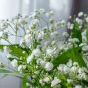 ヒメ日記 2025/12/10 18:35 投稿 まよ 東京エステコレクション 新橋・銀座