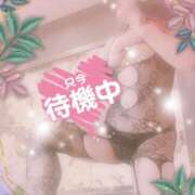ヒメ日記 2025/07/08 11:19 投稿 かおる きみと一緒にできること