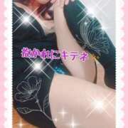 ヒメ日記 2026/03/30 18:29 投稿 かおる きみと一緒にできること