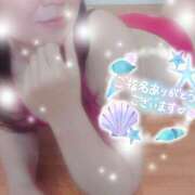 ヒメ日記 2026/03/31 16:09 投稿 かおる きみと一緒にできること