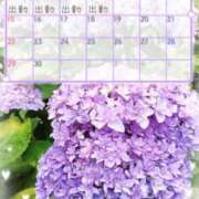 ヒメ日記 2025/06/05 20:25 投稿 酒井美鈴(さかいみすず) 九州熟女　八代店