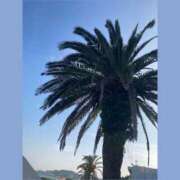 ヒメ日記 2025/09/08 12:25 投稿 月岡とわこ 三丁目の奥様（東京ハレ系）