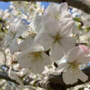 ヒメ日記 2026/04/05 10:20 投稿 月岡とわこ 三丁目の奥様（東京ハレ系）