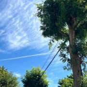 ヒメ日記 2025/07/09 21:48 投稿 ゆか ニューヨーカー