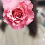 ヒメ日記 2025/04/28 10:47 投稿 麗子 出会い系人妻ネットワーク 上野〜大塚編