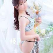 ヒメ日記 2025/04/20 22:29 投稿 つばき チューリップ福井別館