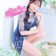 ヒメ日記 2025/04/22 13:14 投稿 つばき チューリップ福井別館