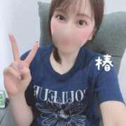 ヒメ日記 2025/05/17 10:24 投稿 つばき チューリップ福井別館