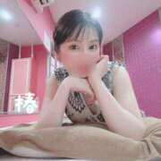 ヒメ日記 2025/05/17 18:34 投稿 つばき チューリップ福井別館