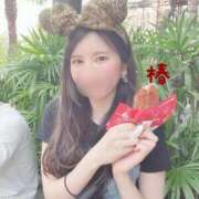 ヒメ日記 2025/05/24 16:27 投稿 つばき チューリップ福井別館