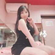 ヒメ日記 2025/07/20 17:34 投稿 つばき チューリップ福井別館