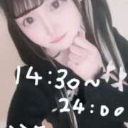 ヒメ日記 2025/12/29 11:36 投稿 のん コンカフェ×オナクラ あいこねくと