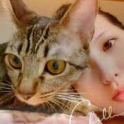 ヒメ日記 2026/06/17 12:03 投稿 ななこ 京都ホテヘル倶楽部