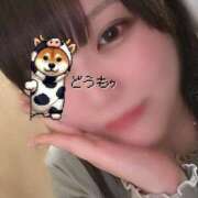 ヒメ日記 2025/05/10 21:33 投稿 このは 福岡大野城・板付インターちゃんこ