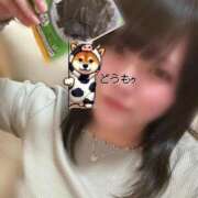 このは こんにちは！ 福岡大野城・板付インターちゃんこ