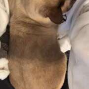 ヒメ日記 2025/04/30 08:13 投稿 ゆう しろうと娘　本店