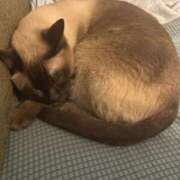 ヒメ日記 2025/06/10 16:13 投稿 ゆう しろうと娘　本店