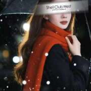 ヒメ日記 2025/12/04 10:49 投稿 上戸　もも シェルクラブ・ウエスト