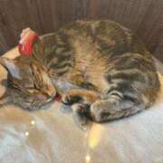 ヒメ日記 2026/01/09 19:50 投稿 れもん 渋谷じゃっくす