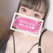 ヒメ日記 2026/02/01 11:06 投稿 ゆな 三浦屋別館